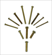 Brass Screws