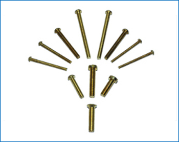 Brass Screws